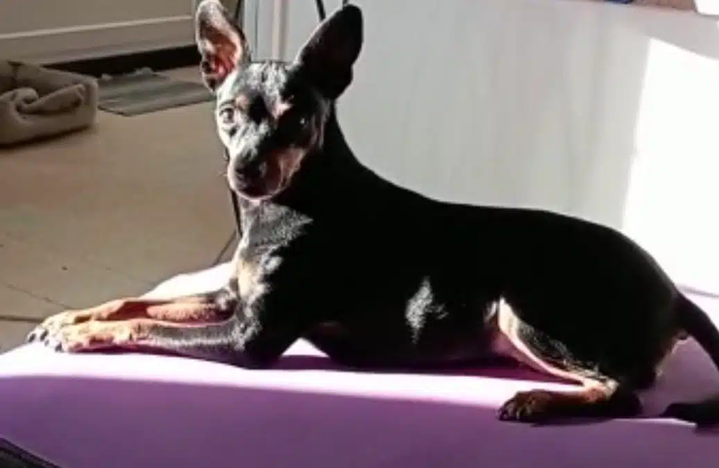 Griotte & Emmanuelle