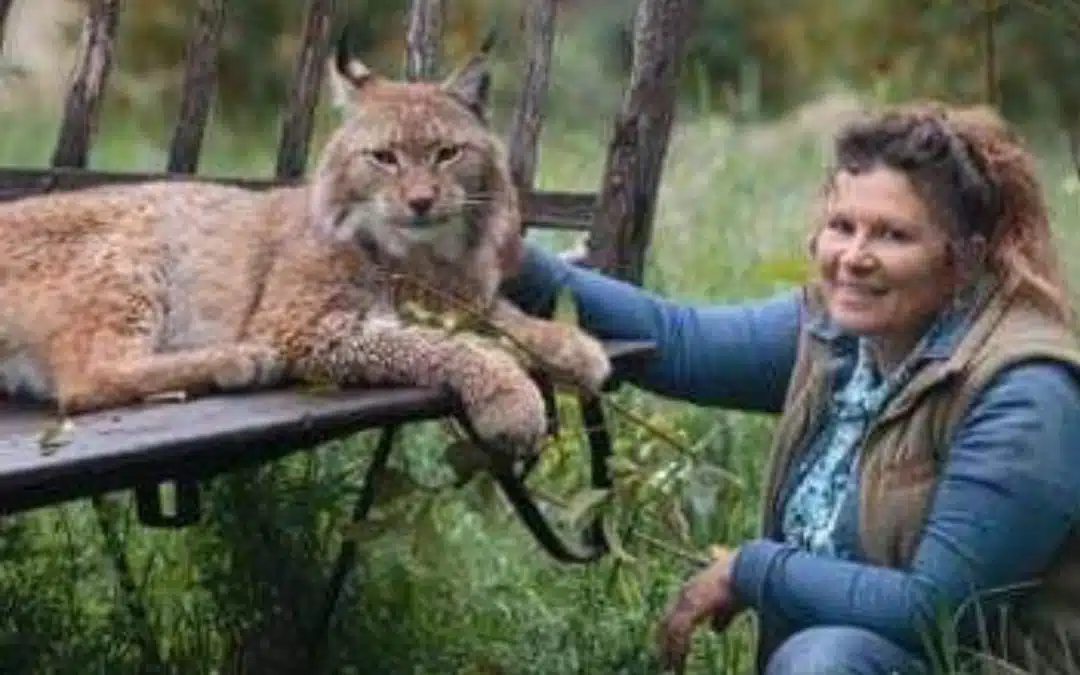 Les Animaux et Marino